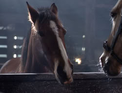 extant_XenaWarriorPrincess_5x04-AnimalAttraction_1400