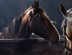 extant_XenaWarriorPrincess_5x04-AnimalAttraction_1404