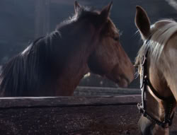extant_XenaWarriorPrincess_5x04-AnimalAttraction_1406