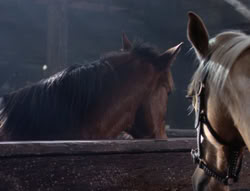 extant_XenaWarriorPrincess_5x04-AnimalAttraction_1407