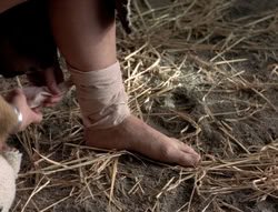 extant_XenaWarriorPrincess_5x04-AnimalAttraction_1535