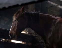 extant_XenaWarriorPrincess_5x04-AnimalAttraction_1543