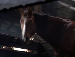 extant_XenaWarriorPrincess_5x04-AnimalAttraction_1544