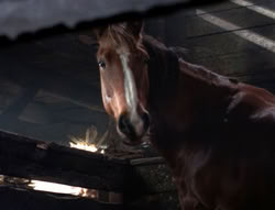 extant_XenaWarriorPrincess_5x04-AnimalAttraction_1545