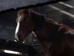 extant_XenaWarriorPrincess_5x04-AnimalAttraction_1546