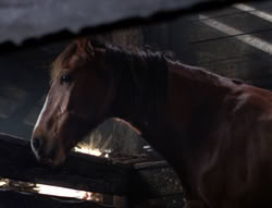 extant_XenaWarriorPrincess_5x04-AnimalAttraction_1547