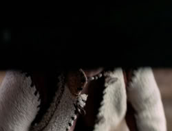 extant_XenaWarriorPrincess_5x04-AnimalAttraction_1551