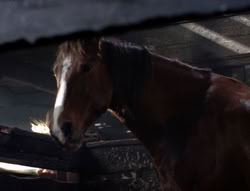 extant_XenaWarriorPrincess_5x04-AnimalAttraction_1565