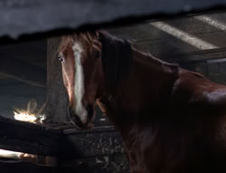 extant_XenaWarriorPrincess_5x04-AnimalAttraction_1567