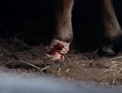 extant_XenaWarriorPrincess_5x04-AnimalAttraction_1570