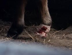 extant_XenaWarriorPrincess_5x04-AnimalAttraction_1572