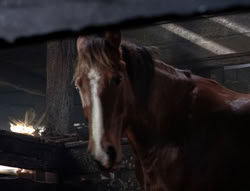 extant_XenaWarriorPrincess_5x04-AnimalAttraction_1578
