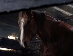extant_XenaWarriorPrincess_5x04-AnimalAttraction_1579