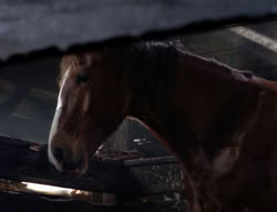 extant_XenaWarriorPrincess_5x04-AnimalAttraction_1581