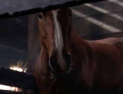 extant_XenaWarriorPrincess_5x04-AnimalAttraction_1993