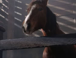 extant_XenaWarriorPrincess_5x04-AnimalAttraction_2001
