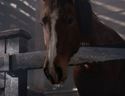 extant_XenaWarriorPrincess_5x04-AnimalAttraction_2004