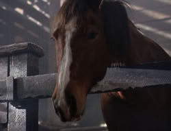 extant_XenaWarriorPrincess_5x04-AnimalAttraction_2009