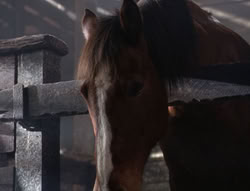 extant_XenaWarriorPrincess_5x04-AnimalAttraction_2011