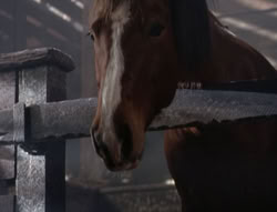extant_XenaWarriorPrincess_5x04-AnimalAttraction_2014