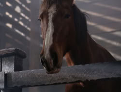 extant_XenaWarriorPrincess_5x04-AnimalAttraction_2015