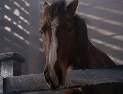 extant_XenaWarriorPrincess_5x04-AnimalAttraction_2016