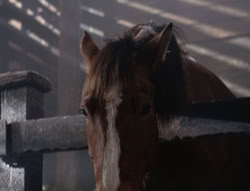 extant_XenaWarriorPrincess_5x04-AnimalAttraction_2017