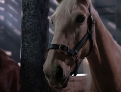 extant_XenaWarriorPrincess_5x04-AnimalAttraction_2105