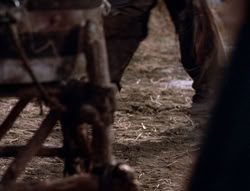extant_XenaWarriorPrincess_5x04-AnimalAttraction_2112
