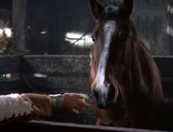 extant_XenaWarriorPrincess_5x04-AnimalAttraction_2374