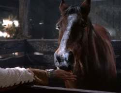 extant_XenaWarriorPrincess_5x04-AnimalAttraction_2376