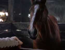 extant_XenaWarriorPrincess_5x04-AnimalAttraction_2382