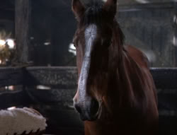 extant_XenaWarriorPrincess_5x04-AnimalAttraction_2383