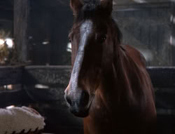 extant_XenaWarriorPrincess_5x04-AnimalAttraction_2384