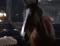 extant_XenaWarriorPrincess_5x04-AnimalAttraction_2385