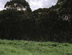 extant_XenaWarriorPrincess_5x04-AnimalAttraction_2576