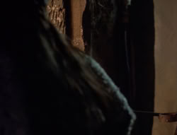 extant_XenaWarriorPrincess_5x04-AnimalAttraction_2729