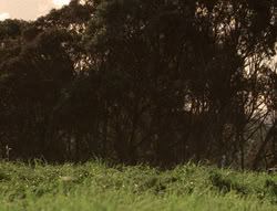 extant_XenaWarriorPrincess_5x04-AnimalAttraction_2816