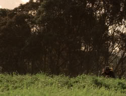 extant_XenaWarriorPrincess_5x04-AnimalAttraction_2817