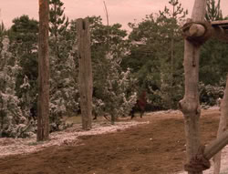 extant_XenaWarriorPrincess_5x04-AnimalAttraction_2845