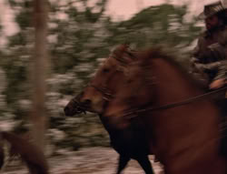 extant_XenaWarriorPrincess_5x04-AnimalAttraction_2850