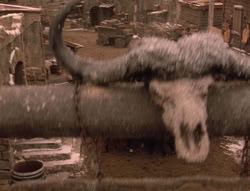 extant_XenaWarriorPrincess_5x04-AnimalAttraction_2856