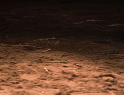 extant_XenaWarriorPrincess_5x04-AnimalAttraction_2861