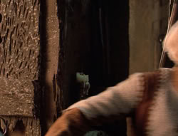extant_XenaWarriorPrincess_5x04-AnimalAttraction_2910