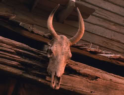 extant_XenaWarriorPrincess_5x04-AnimalAttraction_3061