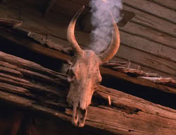 extant_XenaWarriorPrincess_5x04-AnimalAttraction_3062