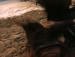 extant_XenaWarriorPrincess_5x04-AnimalAttraction_3079