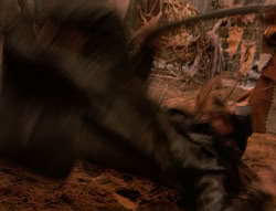 extant_XenaWarriorPrincess_5x04-AnimalAttraction_3122