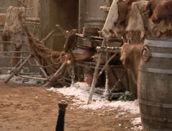 extant_XenaWarriorPrincess_5x04-AnimalAttraction_3172