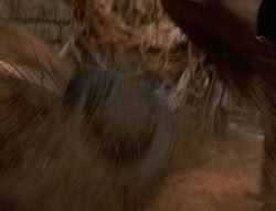 extant_XenaWarriorPrincess_5x04-AnimalAttraction_3226